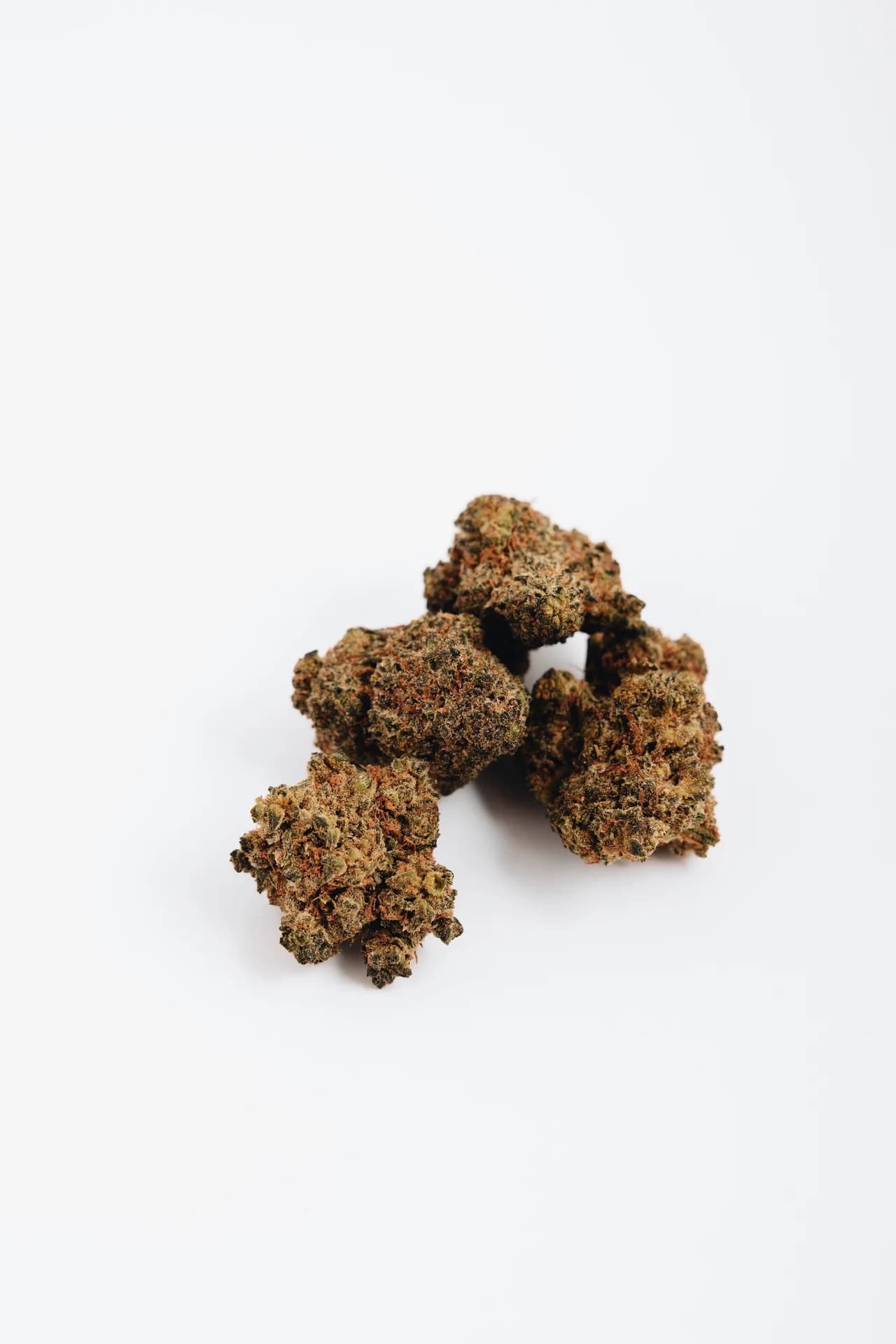 Amnesia — image 2