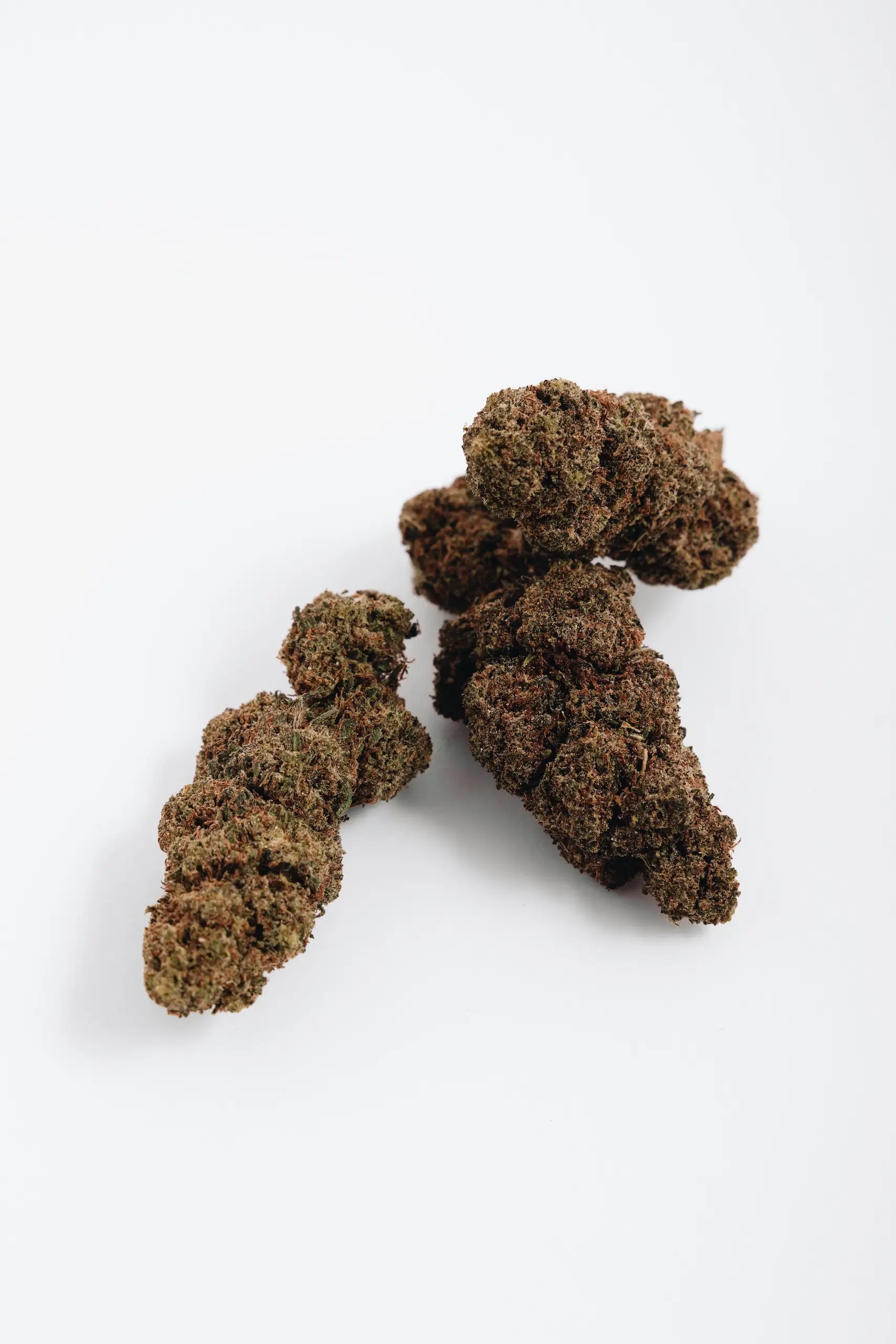 Gorilla OG — image 2