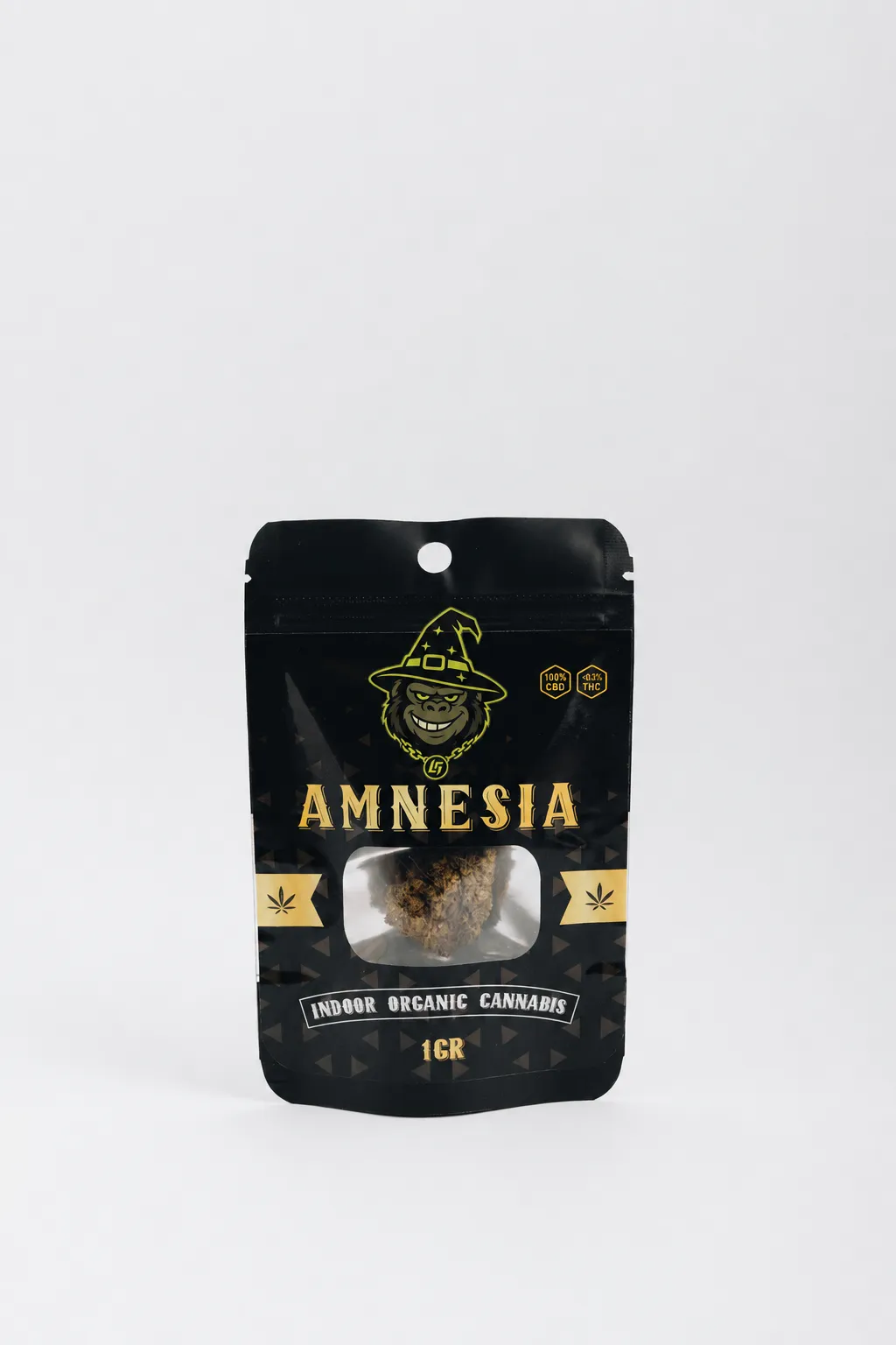 Amnesia — image 3