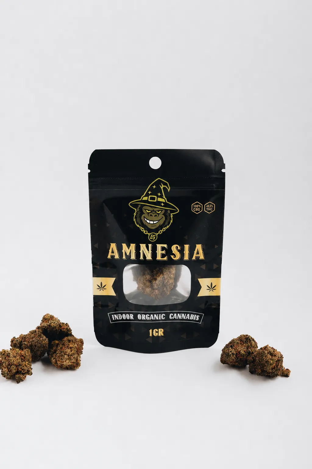 Amnesia — image 4