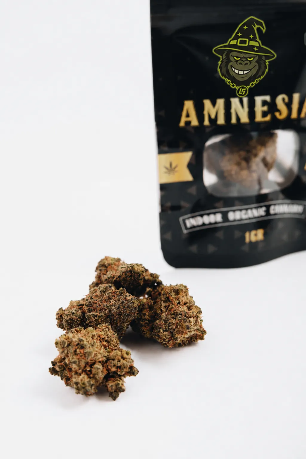 Amnesia — image 5